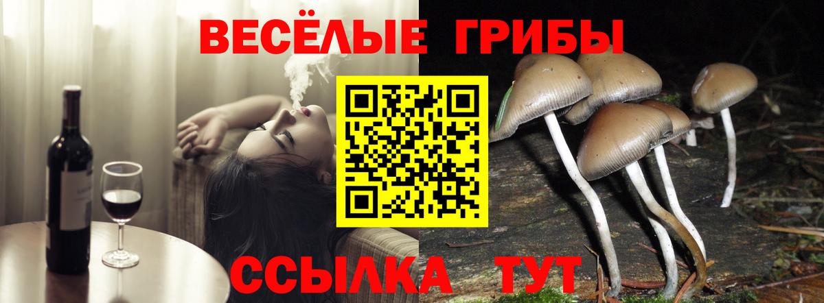 Галлюциногенные грибы мухоморы Миллерово